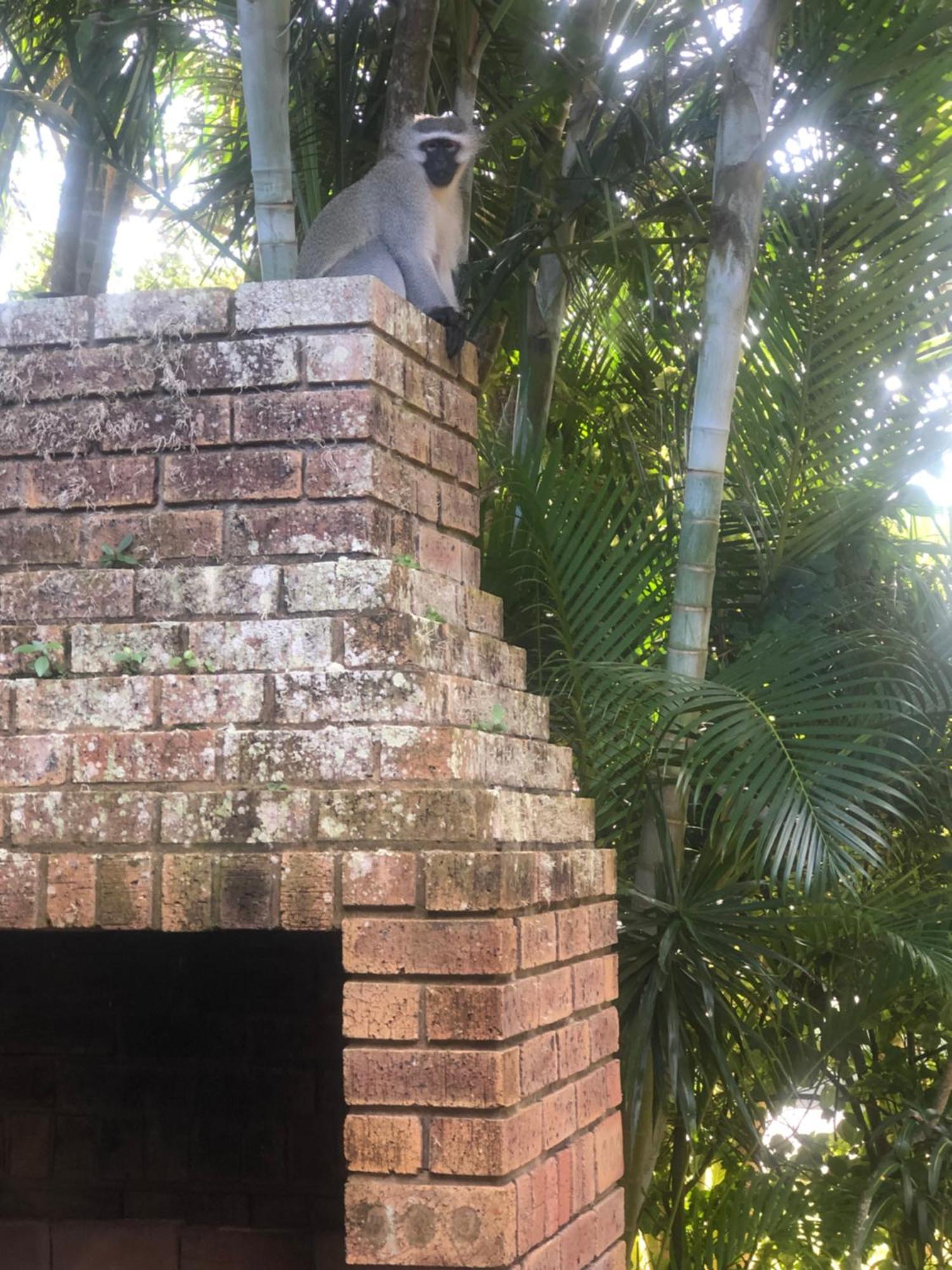 El Seuno De Africa -The Dream Of Africa St. Lucia Exterior foto