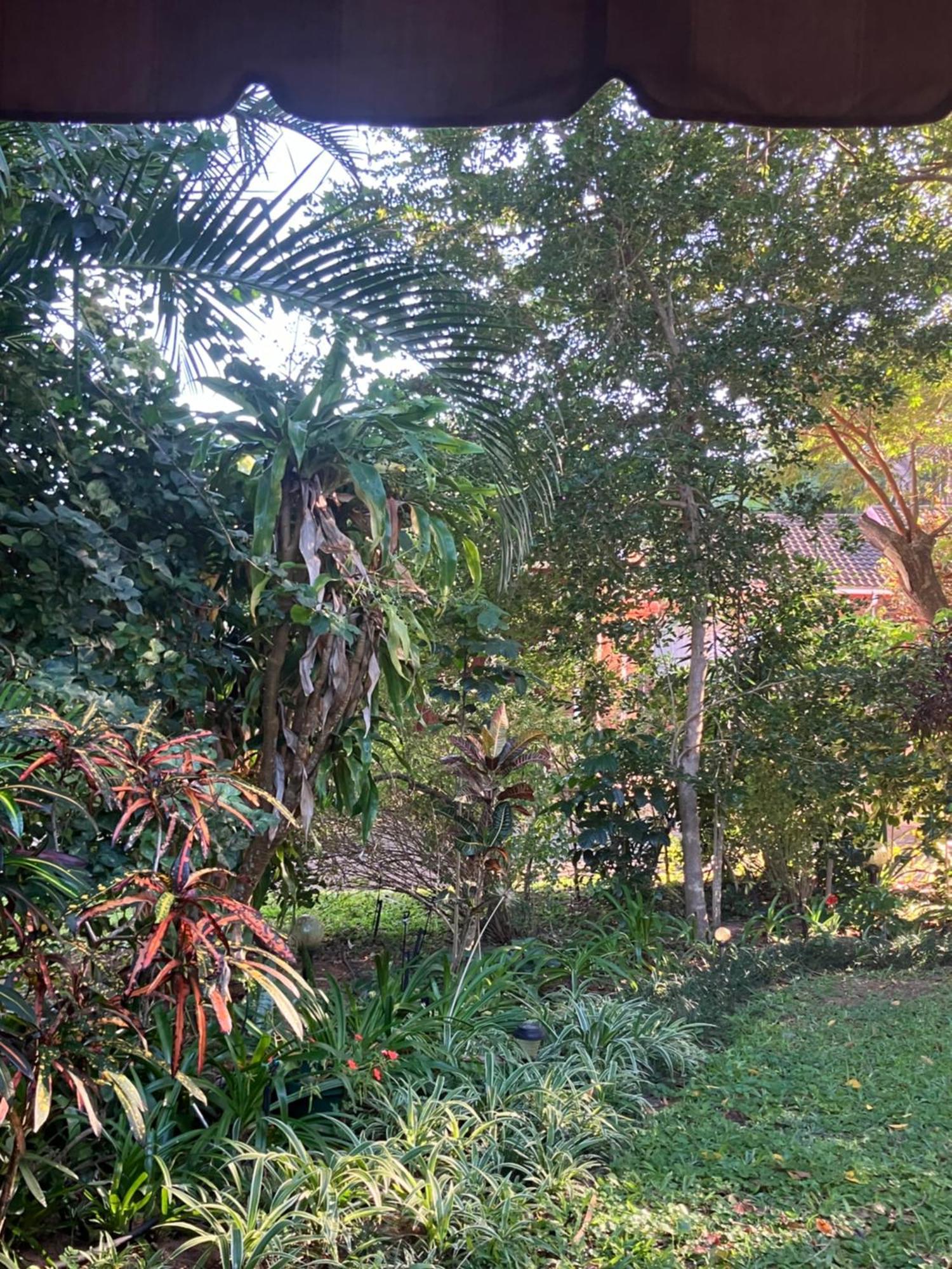 El Seuno De Africa -The Dream Of Africa St. Lucia Exterior foto